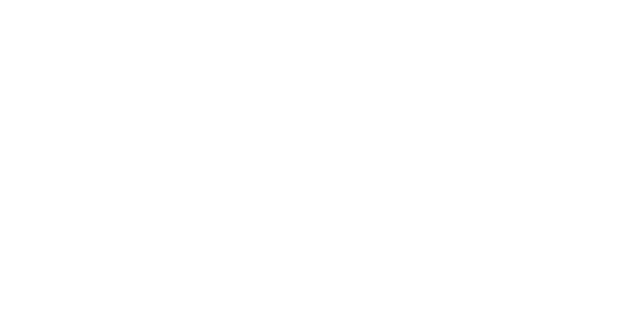 Grupo Villegas
